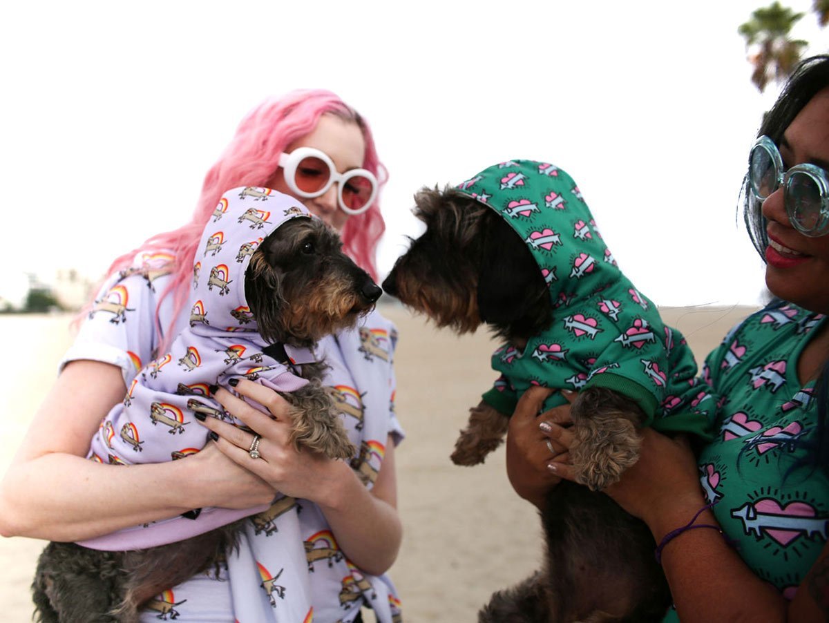 5 reasons why these hoodies will fit your doxie perfectly! - bean goods