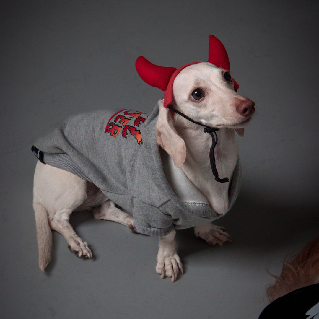hell raiser doxie hoodie