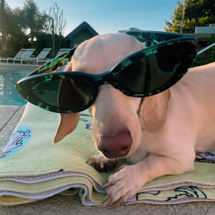 haute dog eyes dachsunglasses - jade tort