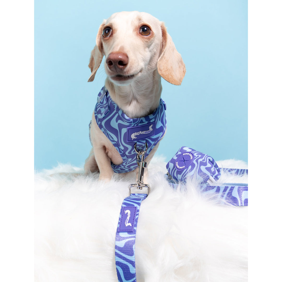 leash - swim club retro swirl