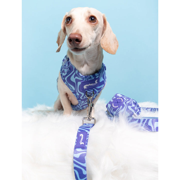 leash - swim club retro swirl