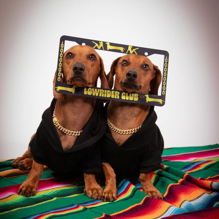 lowrider club license plate cover