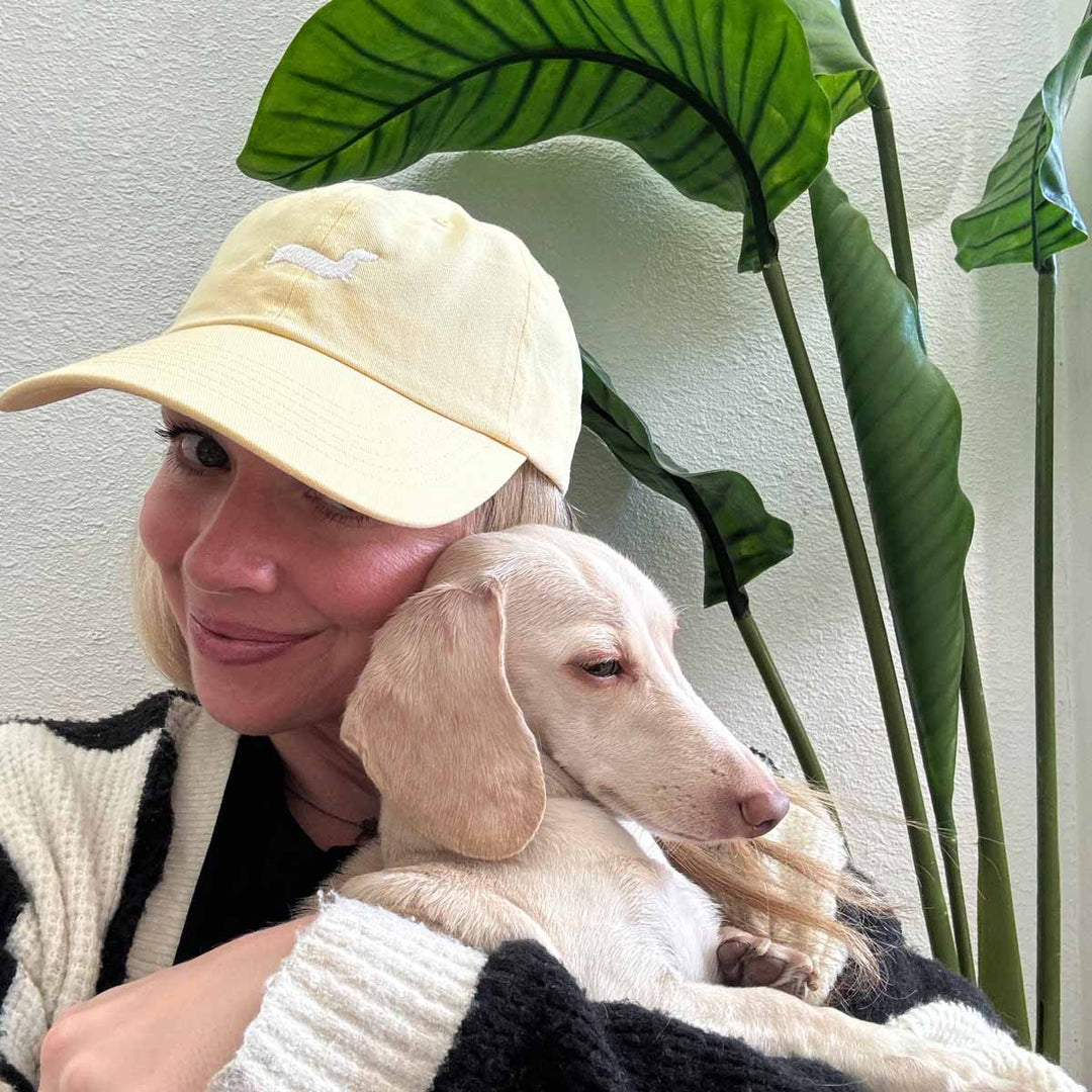 bean goods basics embroidered dad hat | butter - bean goods