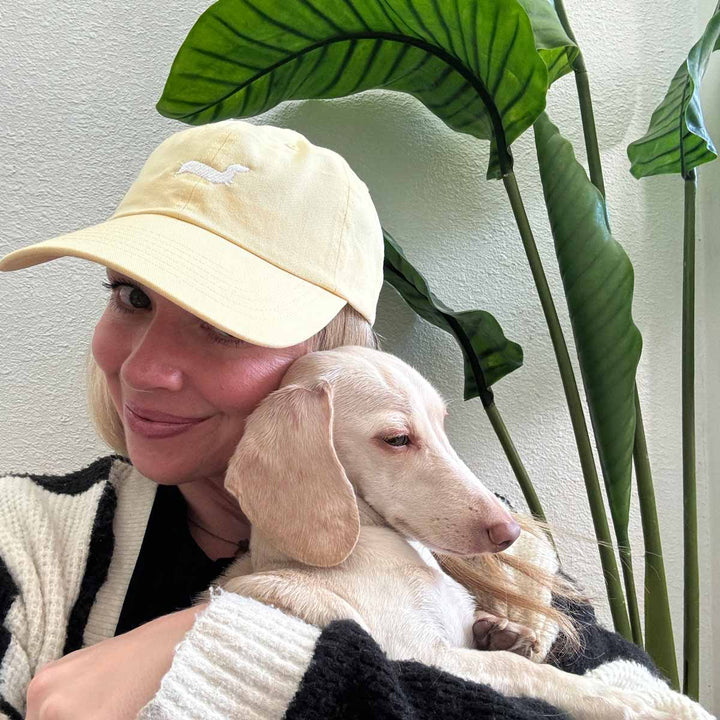 bean goods basics embroidered dad hat | butter - bean goods