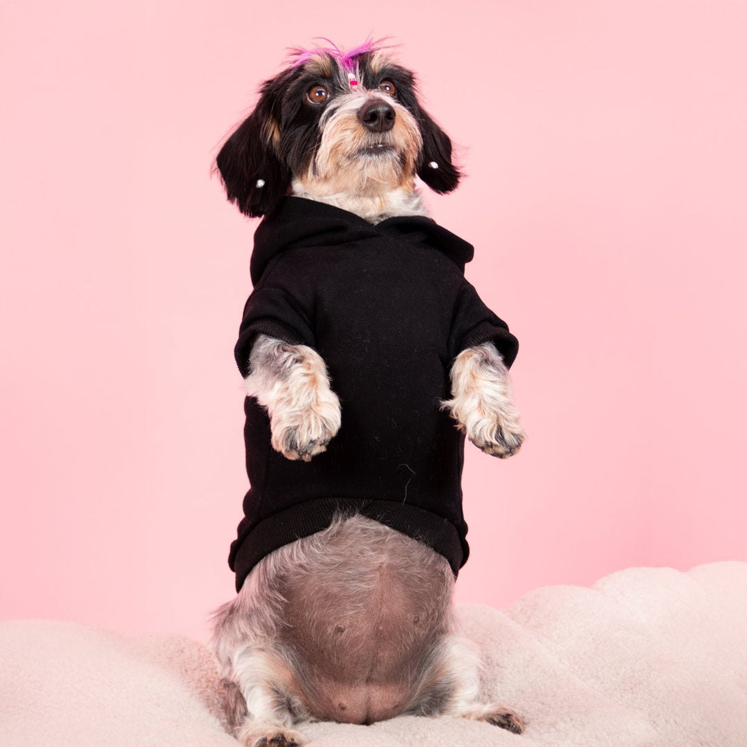 daddy’s girl doxie hoodie | midnight - bean goods