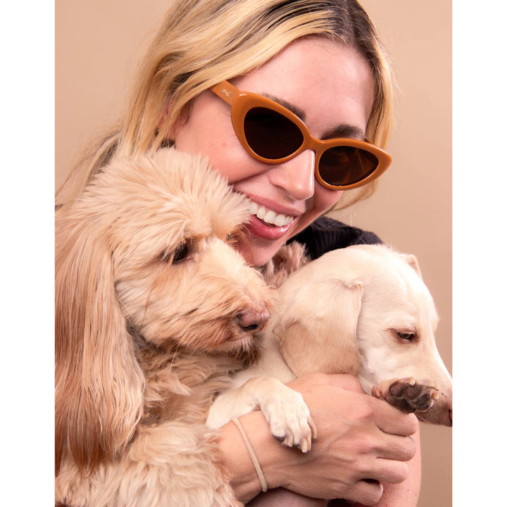 haute dog eyes dachsunglasses - caramel - bean goods