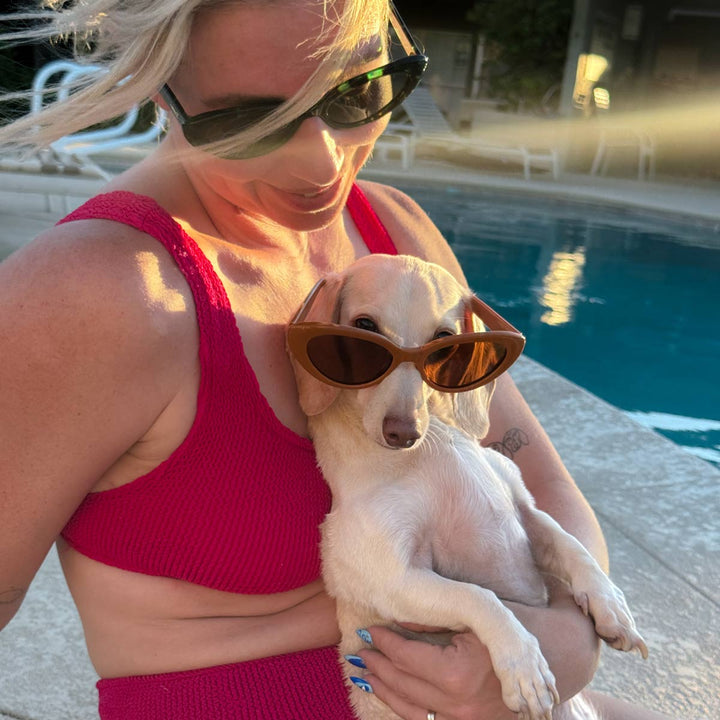 haute dog eyes dachsunglasses - caramel - bean goods