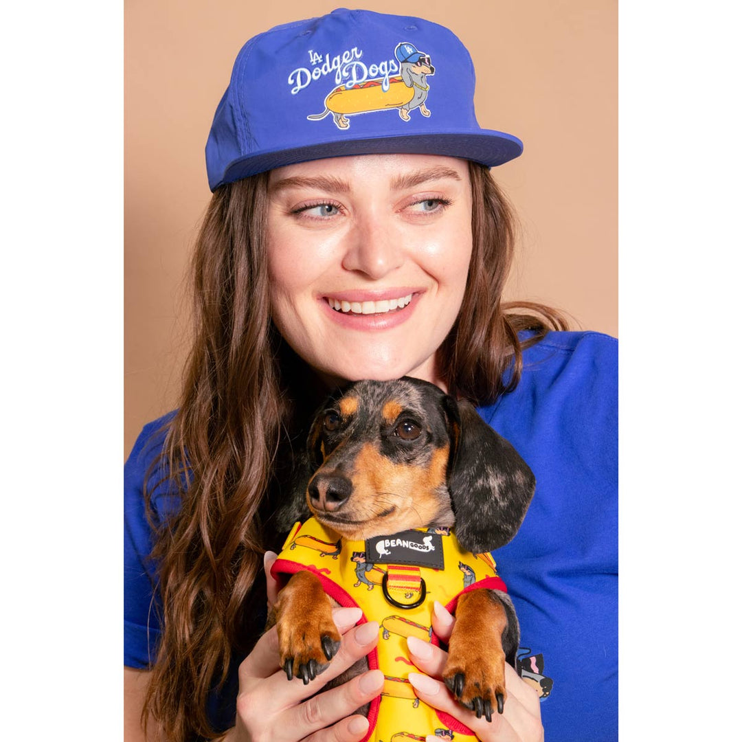 LA dodger dogs hat - bean goods