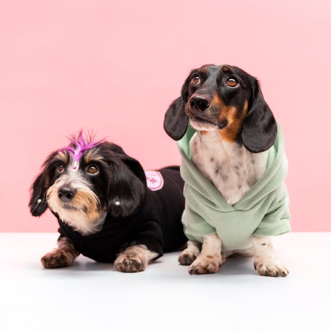 only weens doxie hoodie - bean goods