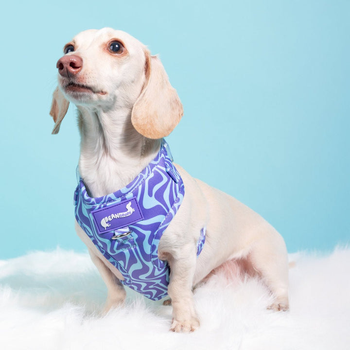 *pre - order* adjustable harness - swim club retro swirl - bean goods