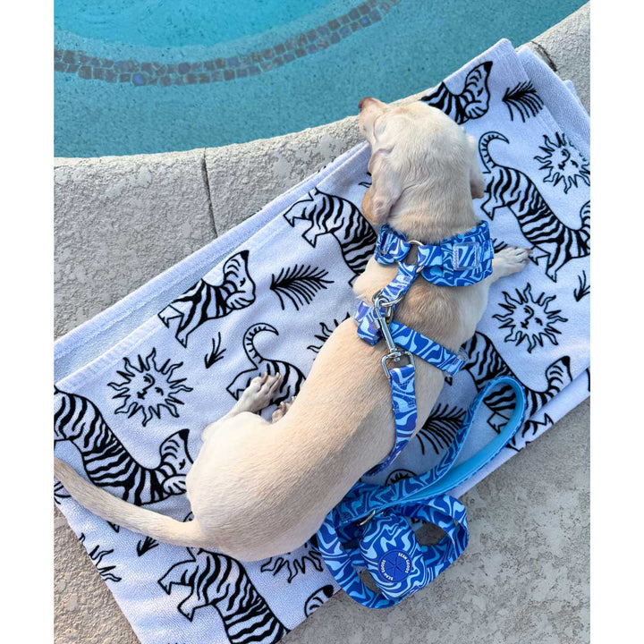 *pre - order* leash - swim club retro swirl - bean goods