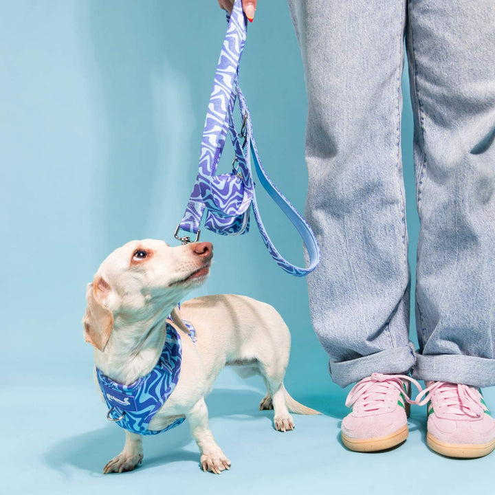 *pre - order* poop bag pouch - swim club retro swirl - bean goods