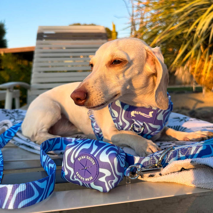 *pre - order* poop bag pouch - swim club retro swirl - bean goods