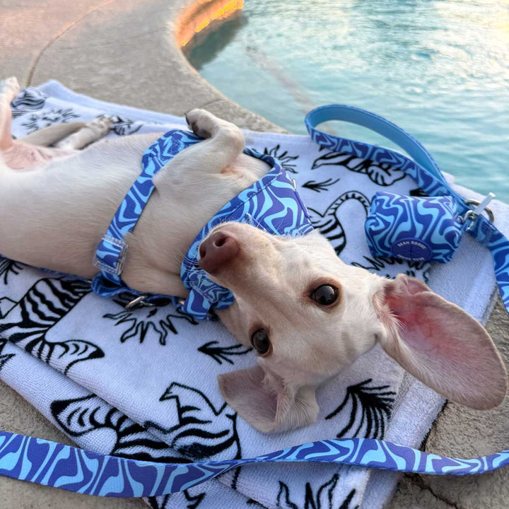 *pre - order* poop bag pouch - swim club retro swirl - bean goods