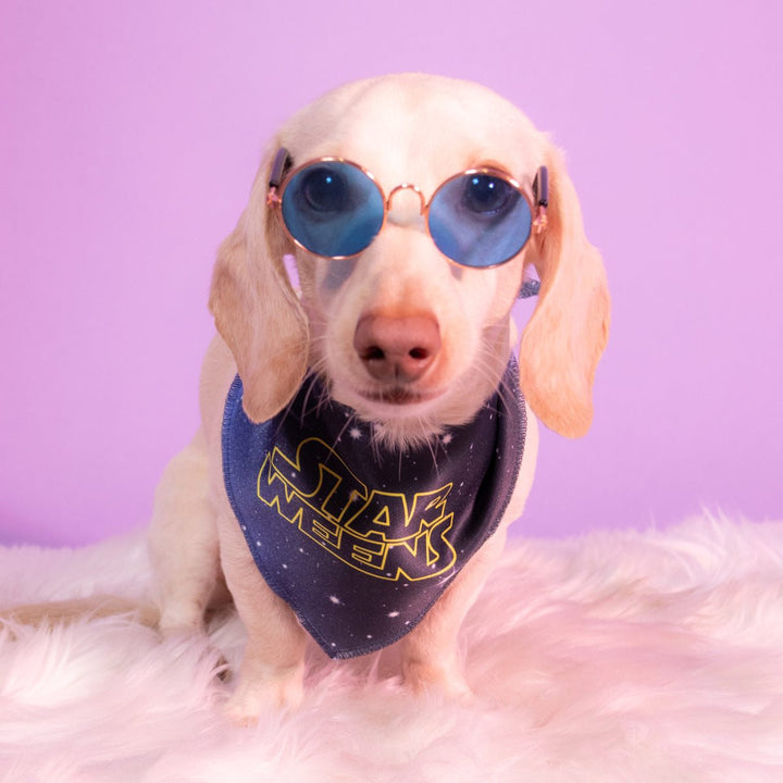 star weens dog bandana - bean goods