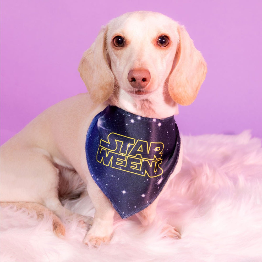 star weens dog bandana - bean goods