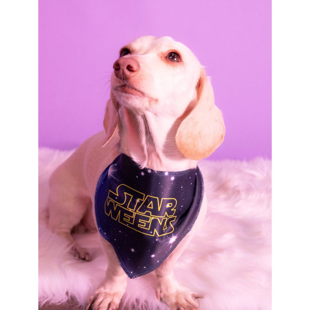 star weens dog bandana - bean goods