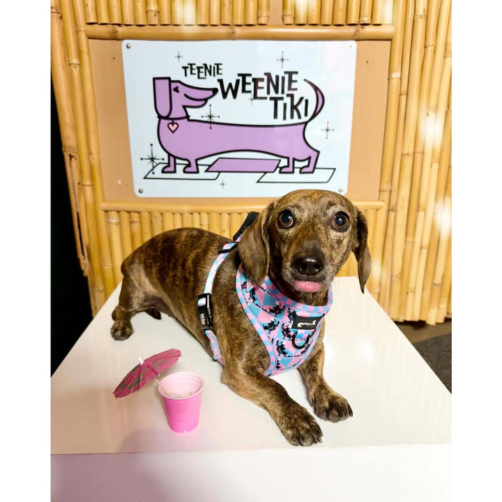 teenie weenie tiki bar metal sign - bean goods