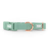 waterproof easy-clean collar | sage