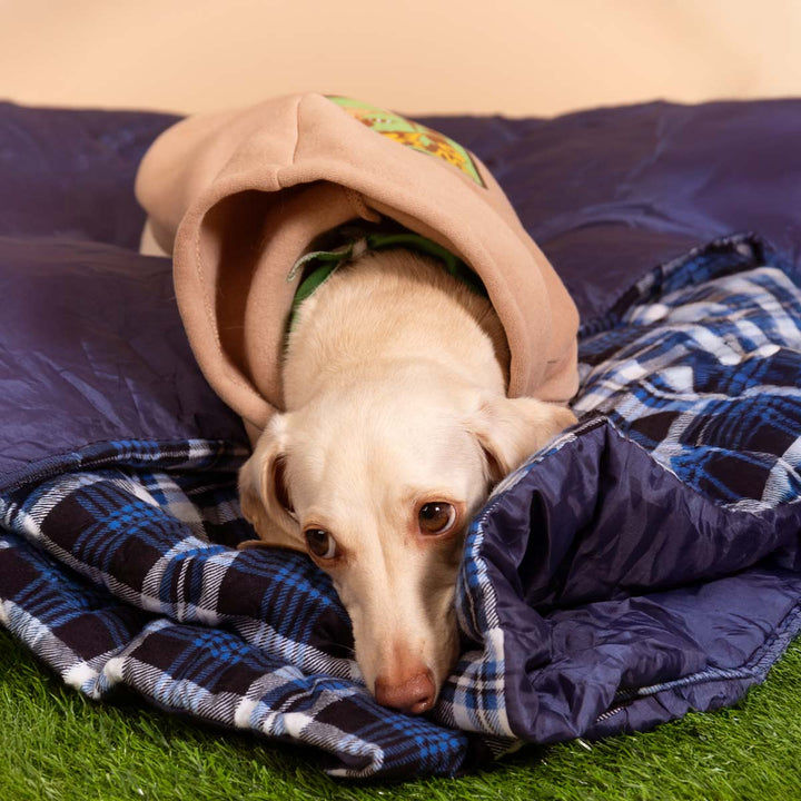 wiener camp dog hoodie - bean goods