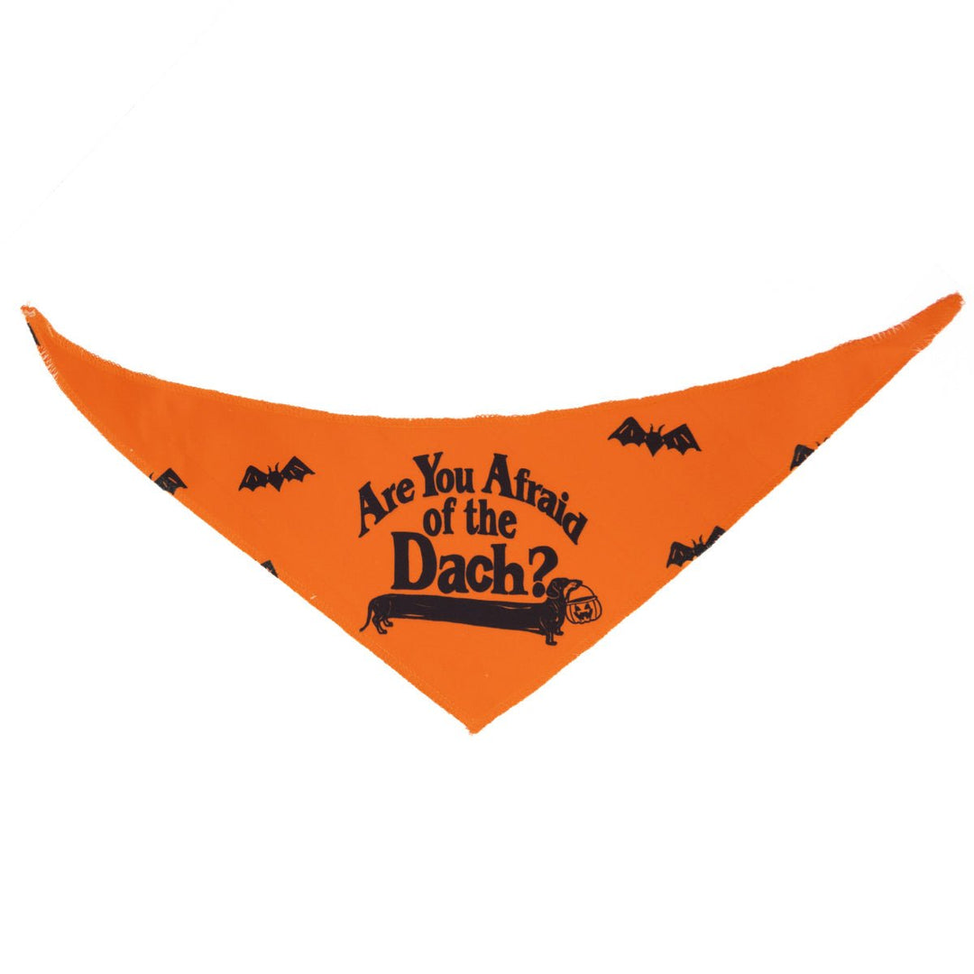 afraid of the dach dog bandana - bean goods