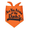 afraid of the dach dog bandana