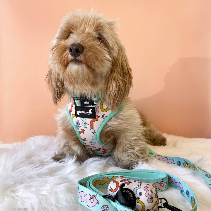collar - dox-mas squiggly ween - bean goods