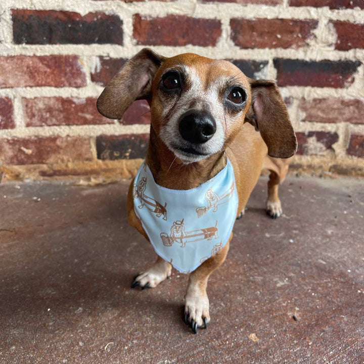 dachtoberfest dog bandana - bean goods