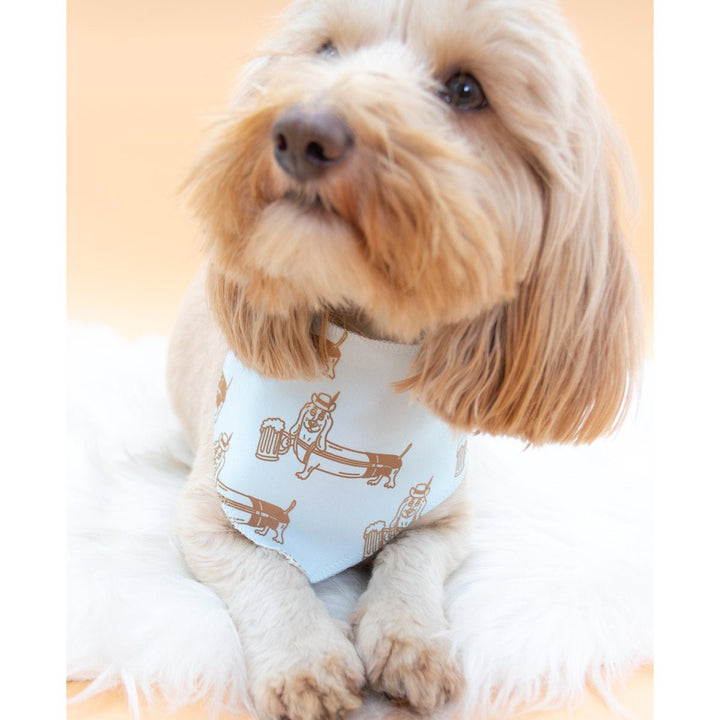 dachtoberfest dog bandana - bean goods