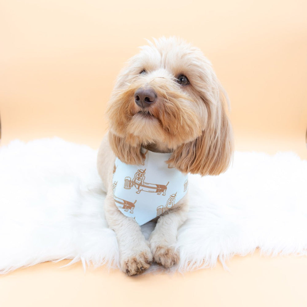 dachtoberfest dog bandana - bean goods