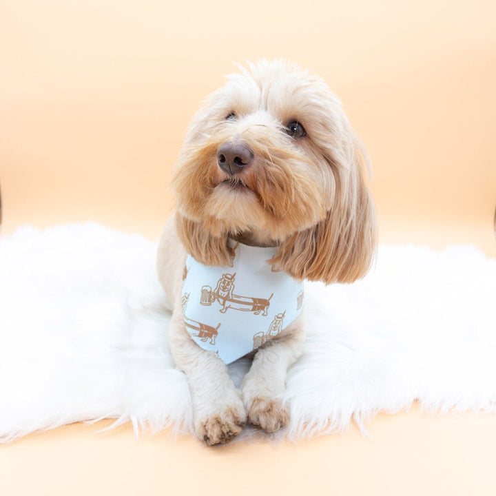 dachtoberfest dog bandana - bean goods