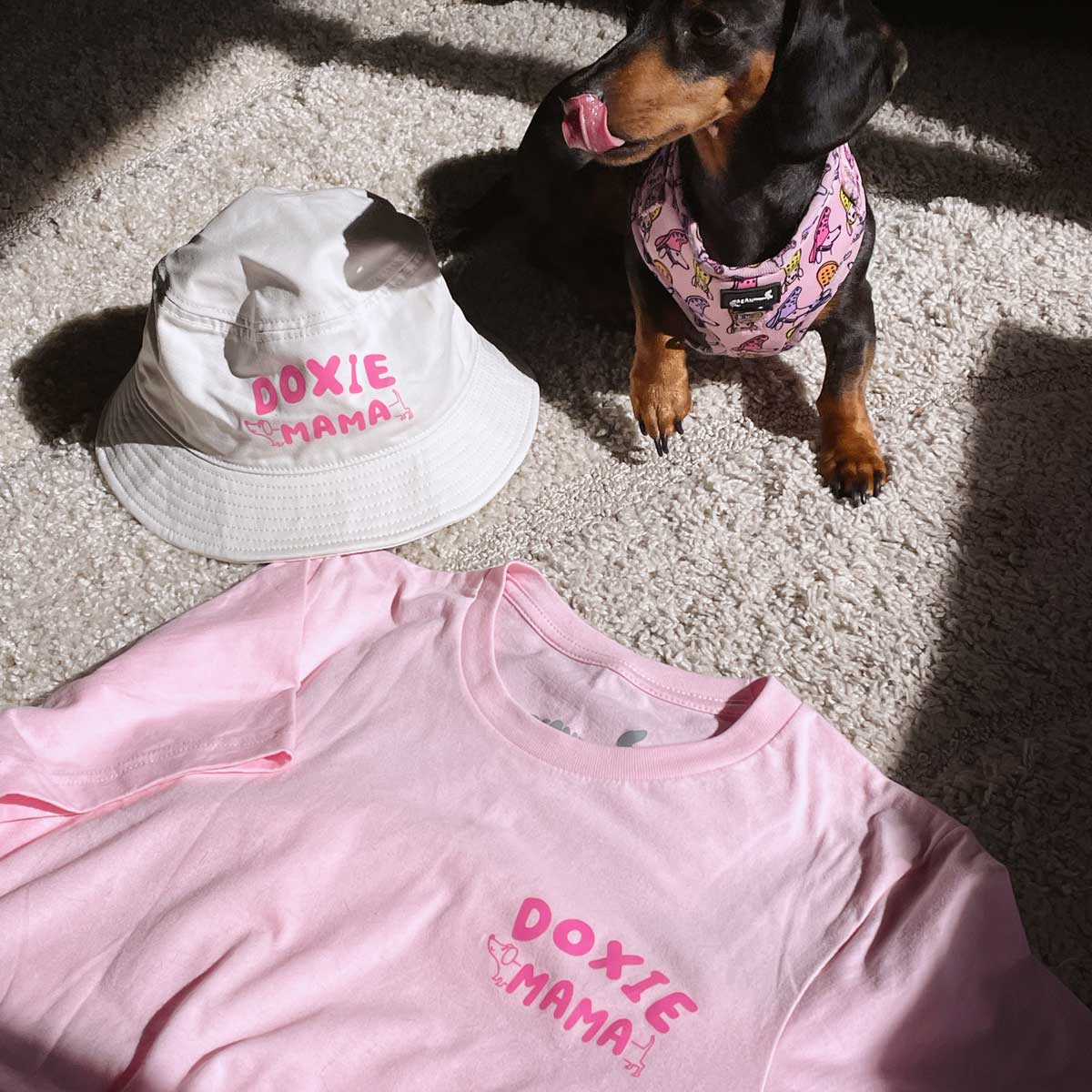 doxie mama unisex tee | pink - bean goods