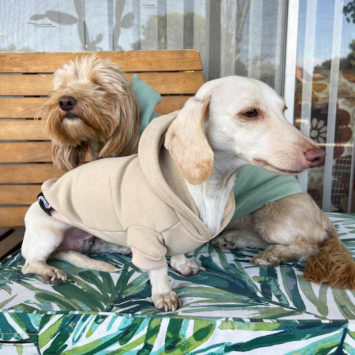 *pre-order* doxie hoodie | blonde - bean goods