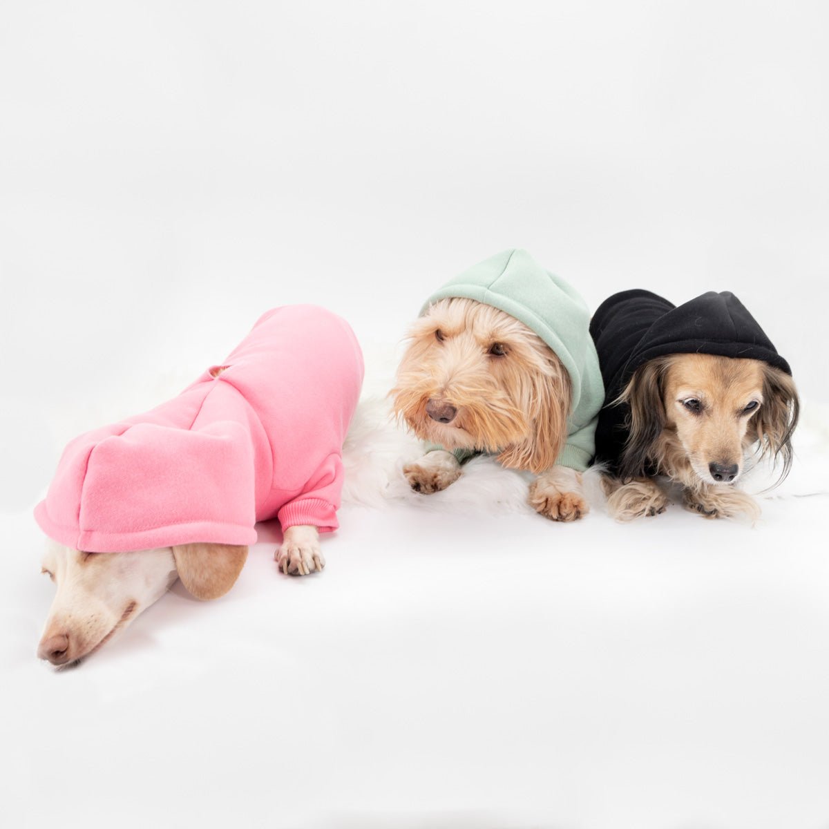 *pre-order* doxie hoodie | ween pink - bean goods