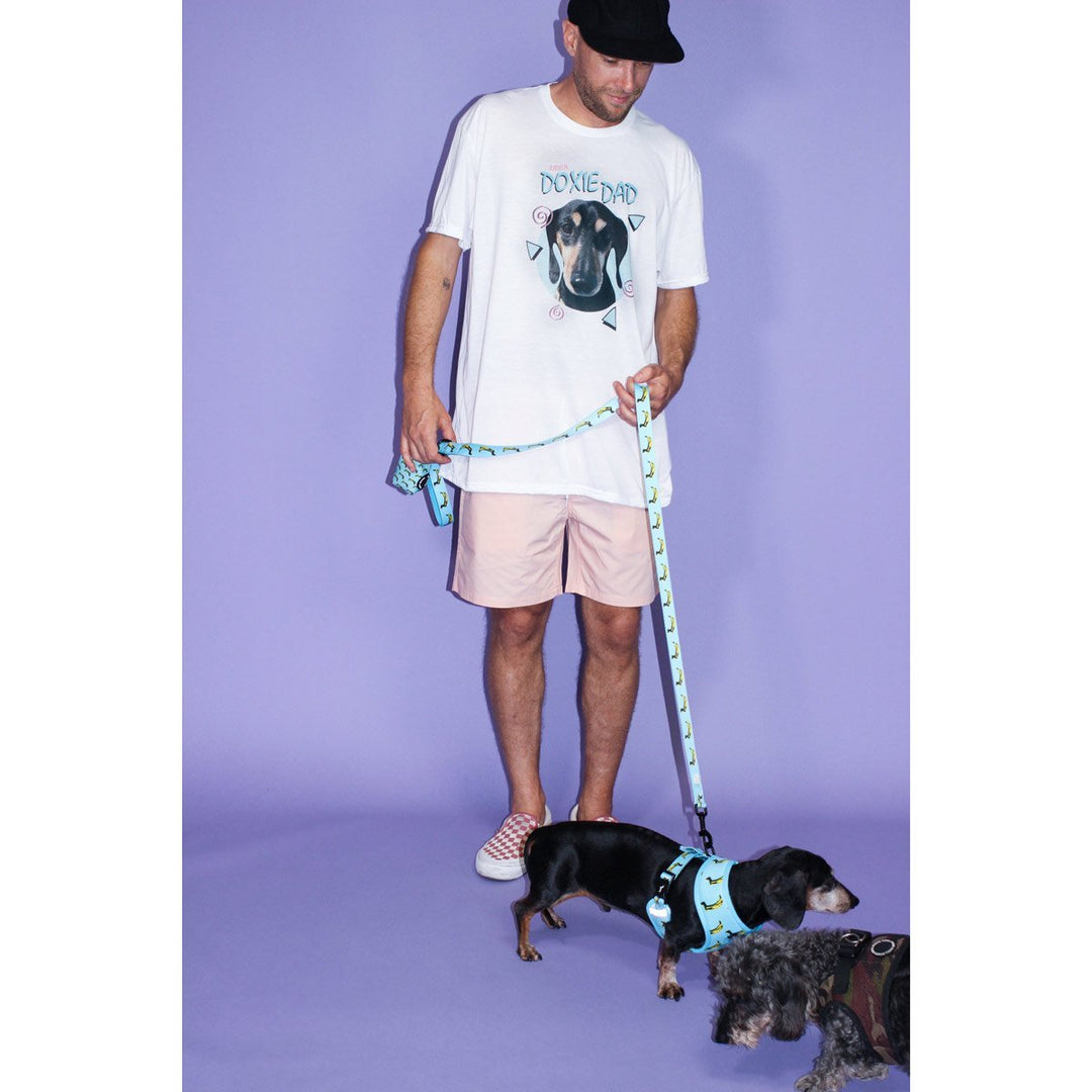 rad doxie dad custom dog tee - BeanGoods