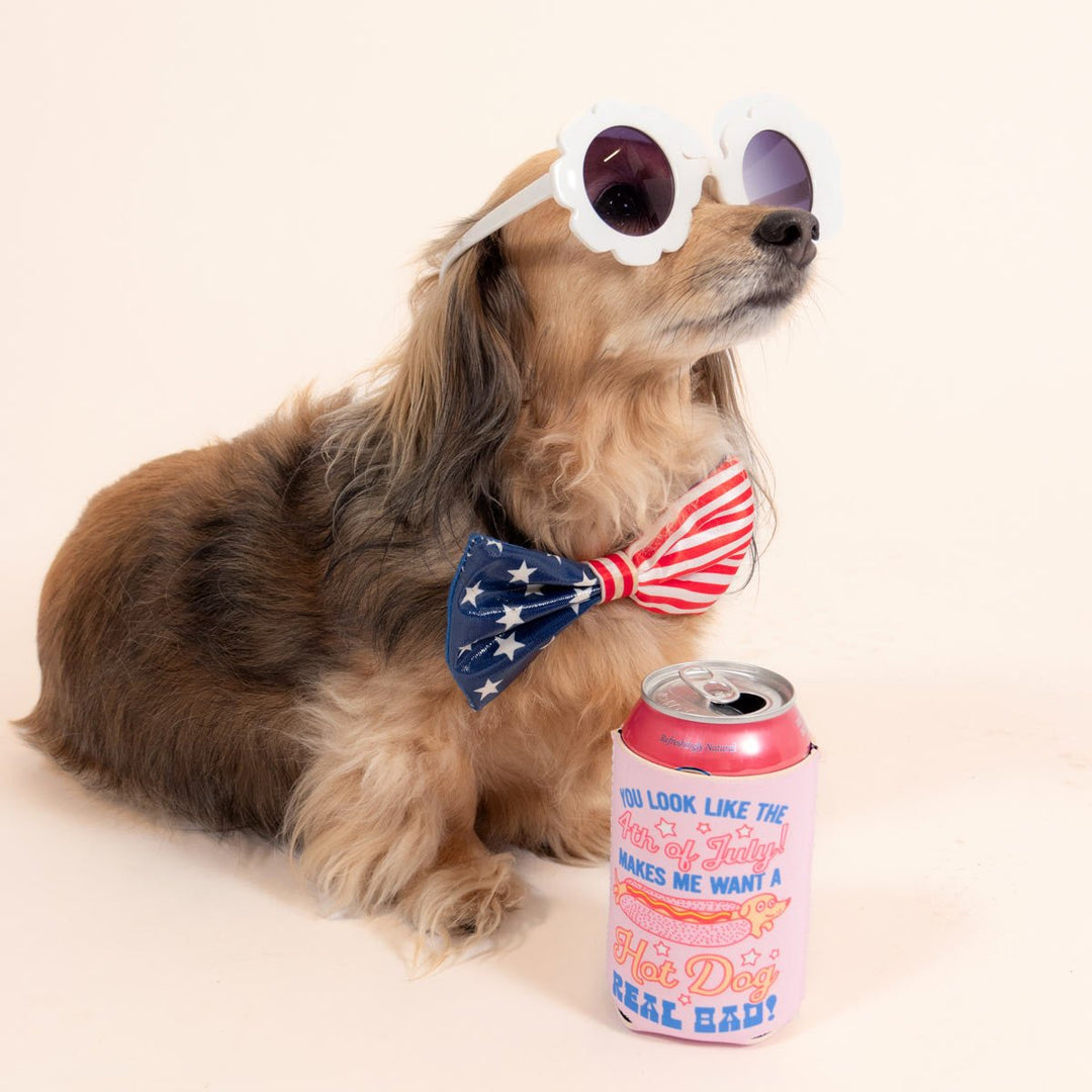 4th of July hot dog can cooler - bean goods