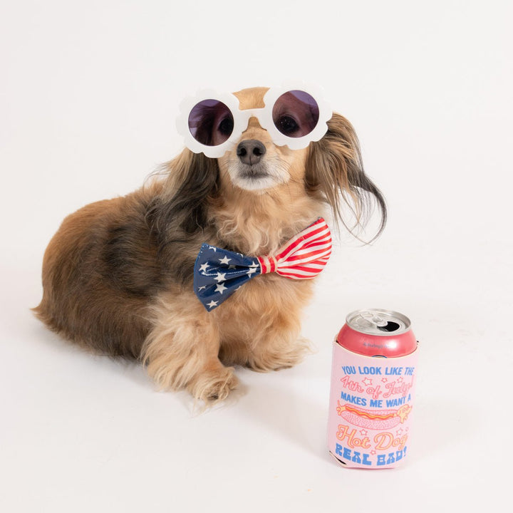 4th of July hot dog can cooler - bean goods