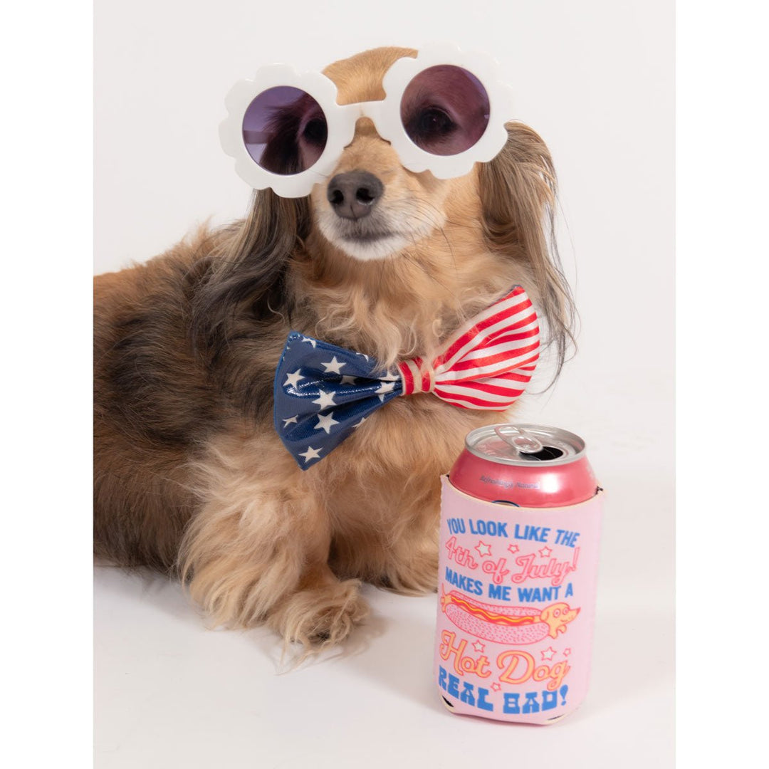 4th of July hot dog can cooler - bean goods