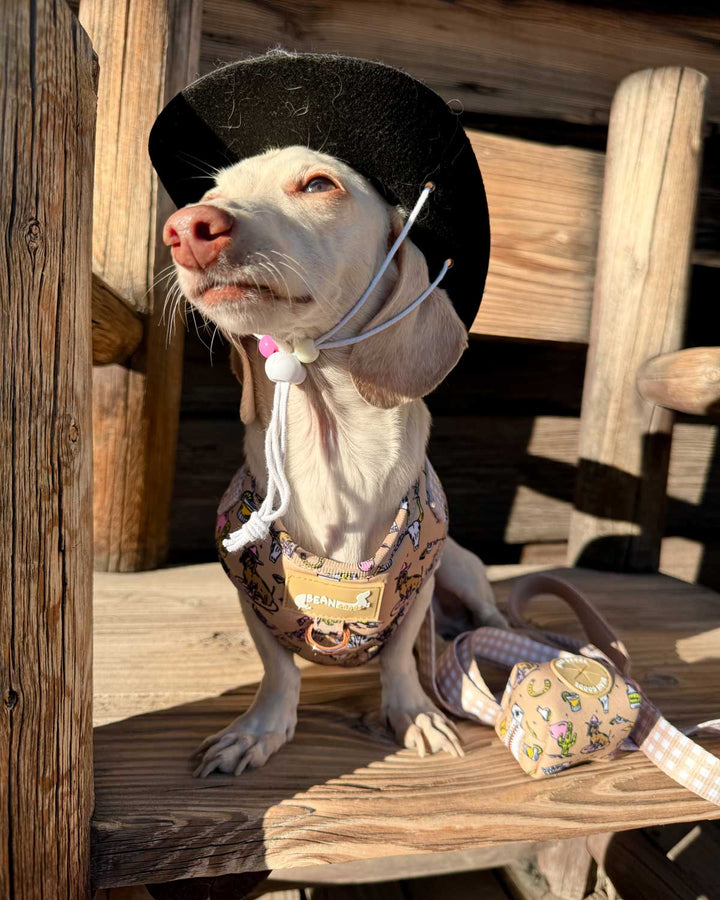 *pre-order* poop bag pouch - not my first rodeo