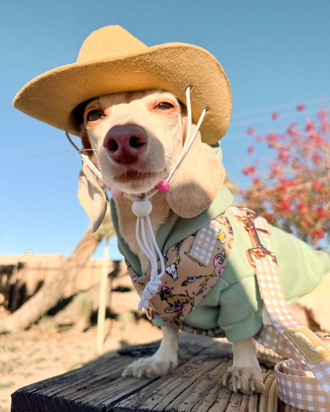 *pre-order* adjustable harness - not my first rodeo