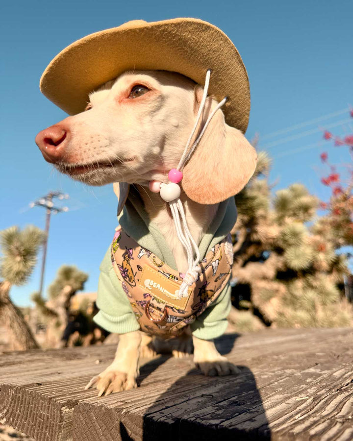 *pre-order* adjustable harness - not my first rodeo