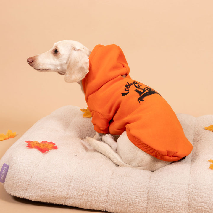 are you afraid of the dach doxie hoodie
