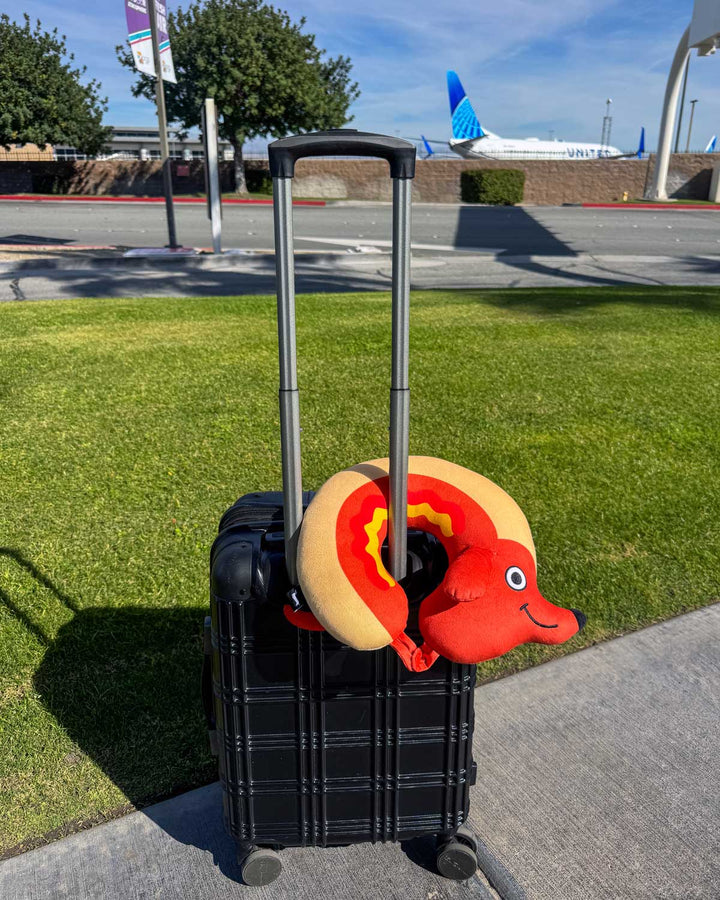 Black suitcase with a red dog-shaped pillow on a grassy area with an airplane in the background.
