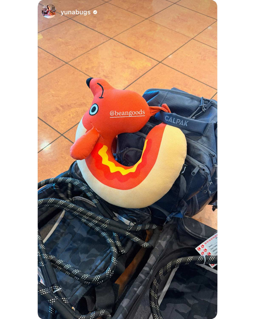 hot dog travel pillow