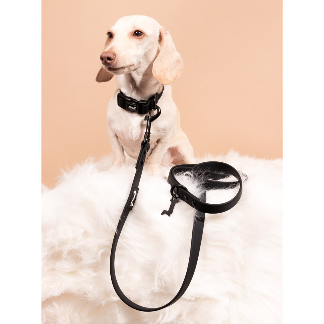 waterproof easy-clean collar | midnight