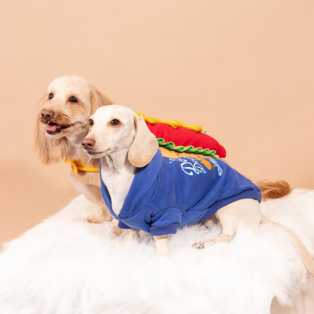 LA dodger dogs doxie hoodie