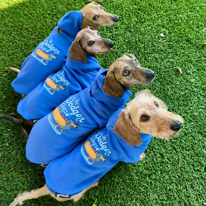 LA dodger dogs doxie hoodie
