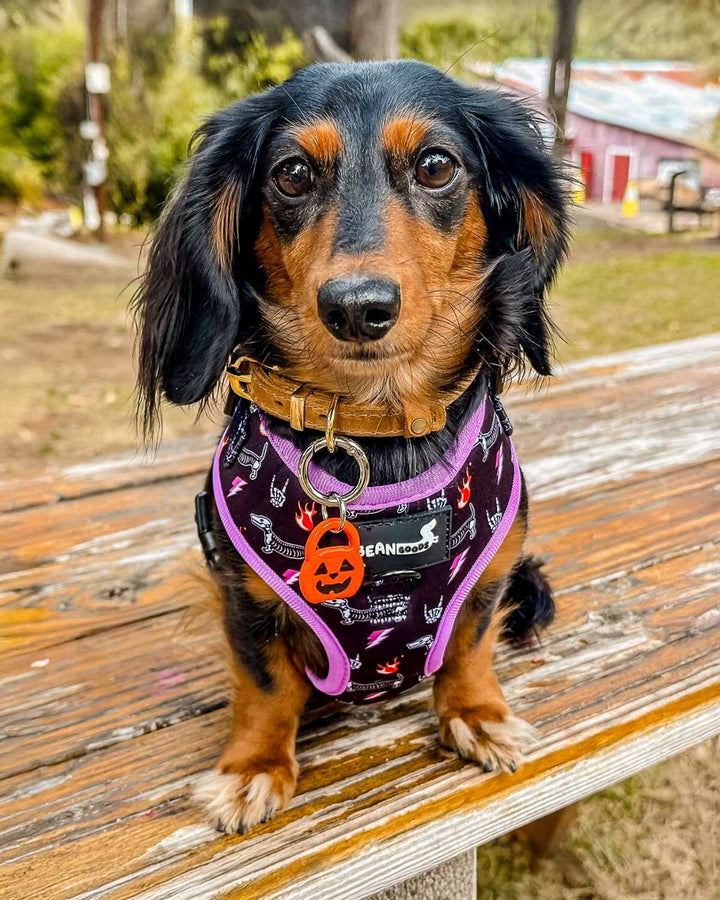 adjustable harness - skeleween
