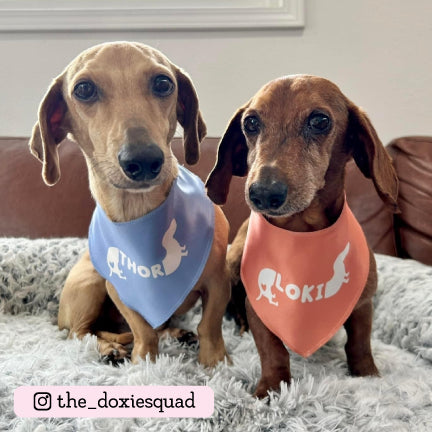 HUGE Dachshund offers Dog Towels