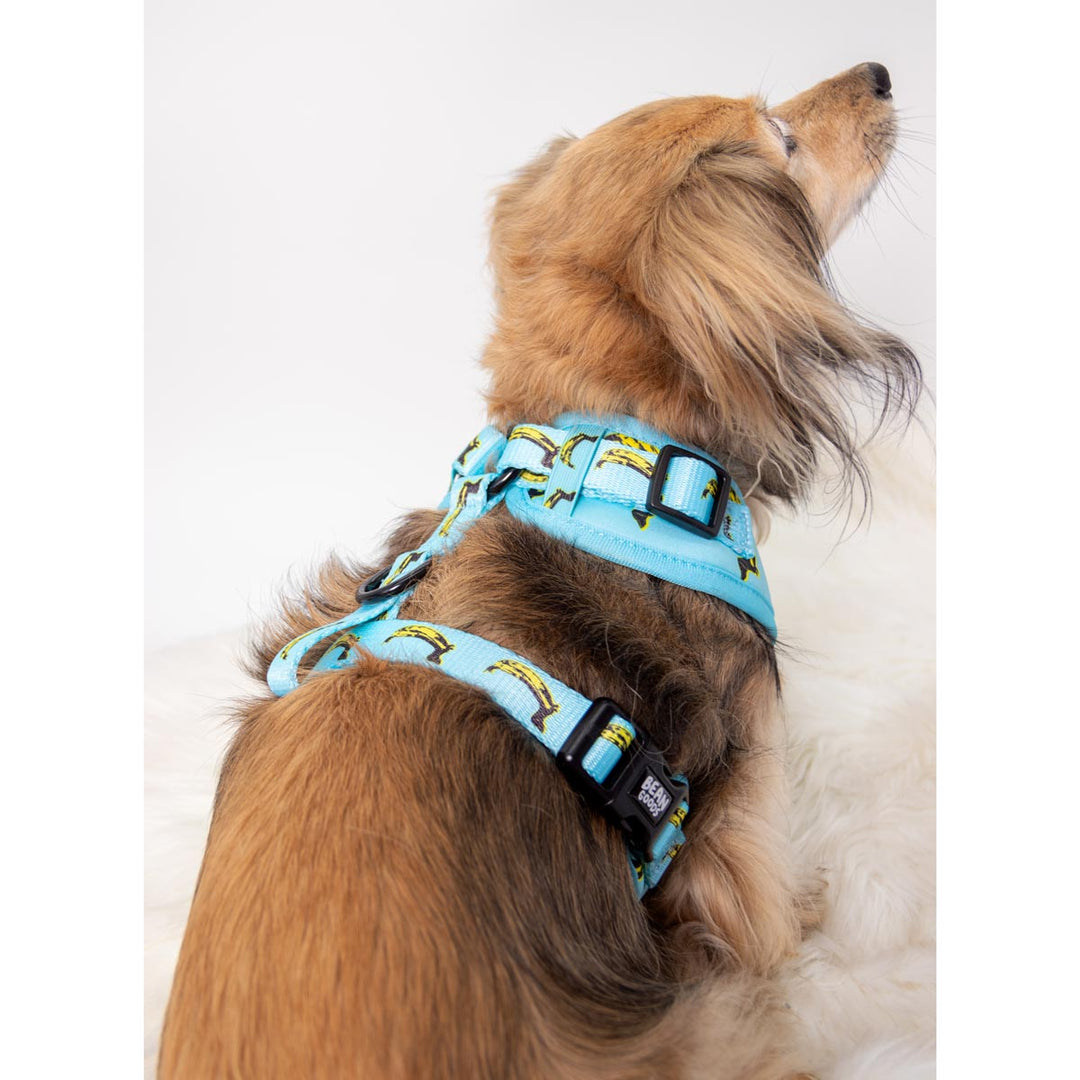 adjustable harness - banana wiener - bean goods